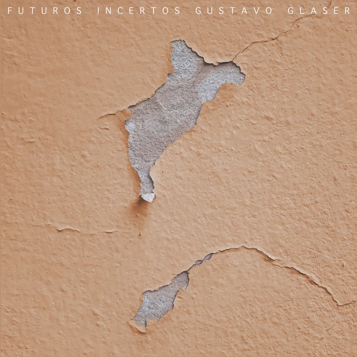 Capa do Álbum 2